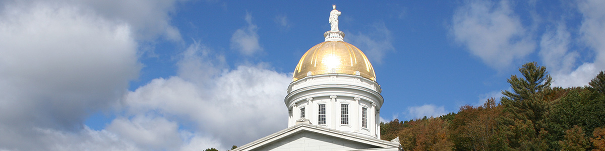 State House Image