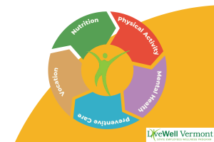 Wellness wheel: Physical activity, nutrition, vocation, mental health, preventive care